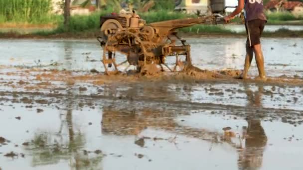 Agricultor Arando Campo Fangoso Con Tractor Mano Para Preparar Suelo — Vídeo de stock