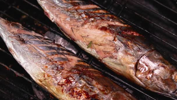 Azjatyckie Jedzenie Zamknij Dwa Grillowanego Tuńczyka Grillu Katsuwonus Pelamis — Wideo stockowe