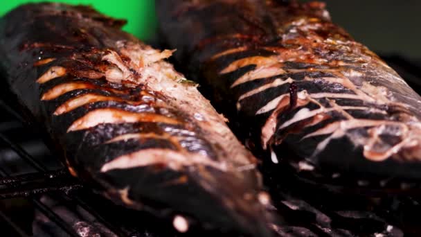 Asiatisches Essen Großaufnahme Von Zwei Gegrillten Bonito Thunfischen Auf Dem — Stockvideo