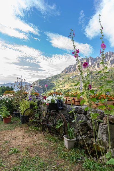 Kuzey İspanya 'daki dağlar güneşli bir yaz günbatımında Pola Somiedo Asturias' ta çiçeklerle