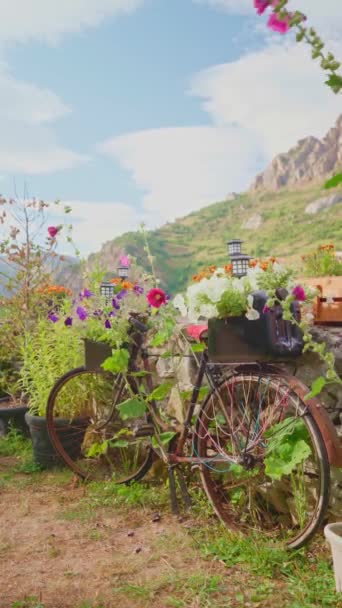 Rower Kwiatami Górach Północnej Hiszpanii — Wideo stockowe