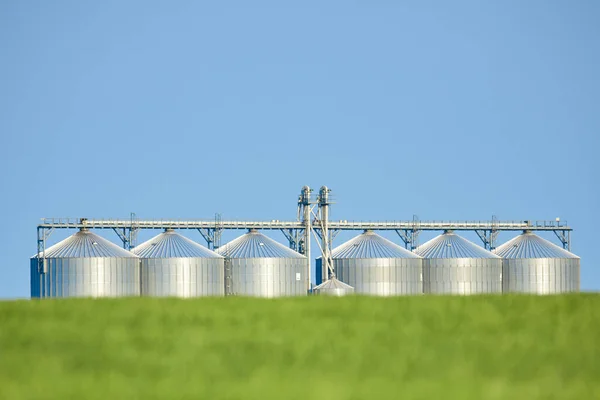 Agricultural Silos - Building Exterior, Storage and drying of grains, wheat, corn, soy, sunflower against the blue sky with wheat fields