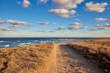Romanya 'nın Tuzla plajındaki Karadeniz kıyılarındaki inanılmaz yaz manzarası