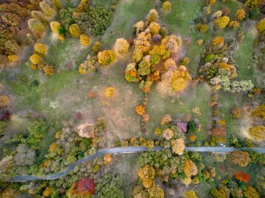 Romanya 'daki sonbahar ormanı ve tepelerin havadan görünüşü. Sonbahar manzarası