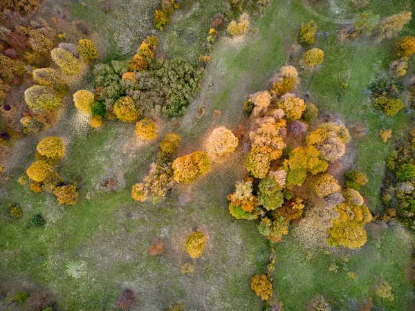 Widok Lotu Ptaka Jesienny Las Wzgórza Rumunii Jesienny Krajobraz — Zdjęcie stockowe