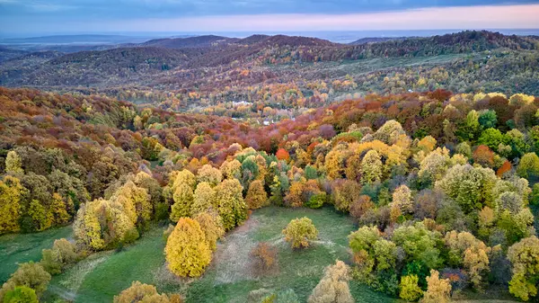 Widok Lotu Ptaka Jesienny Las Wzgórza Rumunii Jesienny Krajobraz Obrazek Stockowy