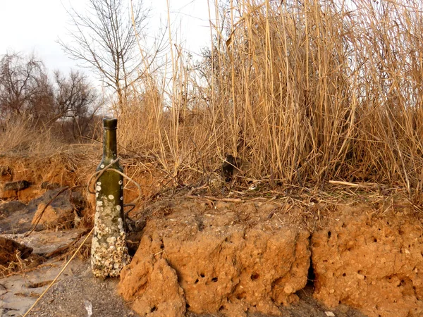 Nehir kıyısında sonbahar kuru otları ve kabukla kaplanmış bir şişe.               