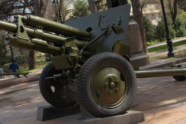 Sanatsal silah topu parkta.