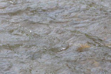 Nehir su yüzeyi hareket halinde