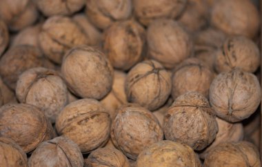 Kabuklu Orta Asya cevizleri