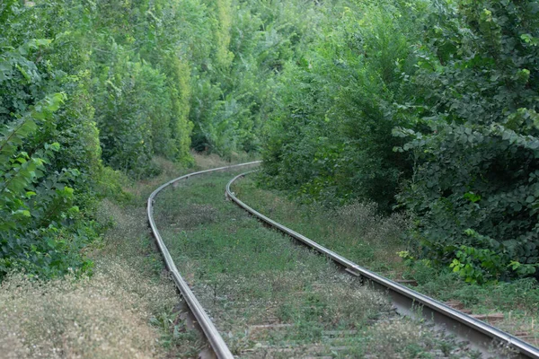 距離を移動する鉄道 — ストック写真