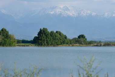 Doğadaki güzellik, dağların tepesindeki kar, göl ağaçları. 