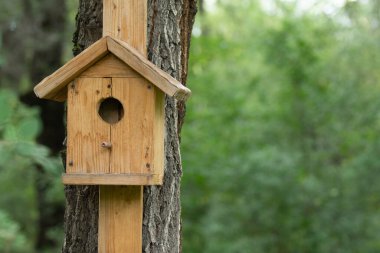 Kuşlar için ahşap ev, ağaç besleyicisi.