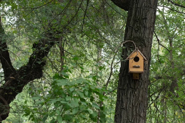 Wooden Birdhouse Aon Tree Stock Picture