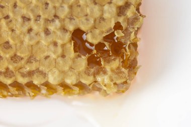 bal peteğinde honee, beyaz arka plan