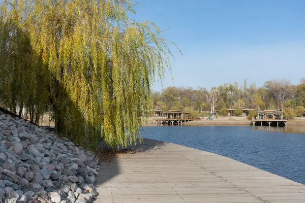 Güzellik arka planı, gölün kıyısındaki ahşap kıyı, uygun çözüm..