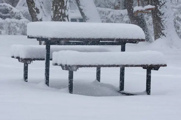 bench and table in the snow in the park