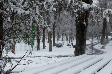 Parktaki bankta kar var. ve ağaçlar.