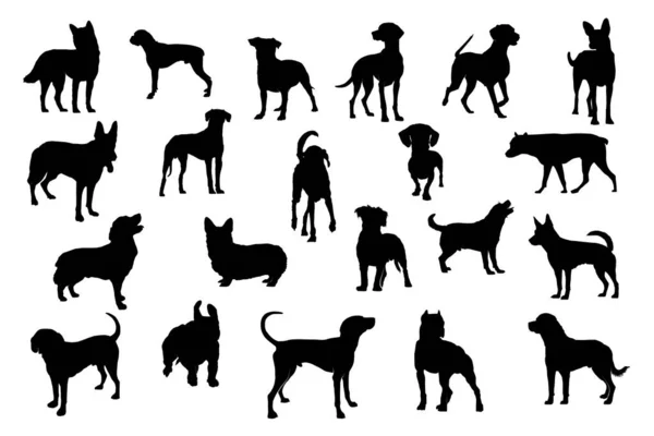 Dog Silhouette Bundle Dog Silhouette Vector Free Download Many Dog — Stock Vector