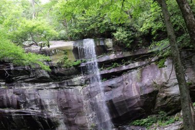 Dumanlı Dağlar 'a ve Tennessee, Kuzey Carolina ve Güney Carolina çevresindeki çeşitli parklara yapılan bir geziden.