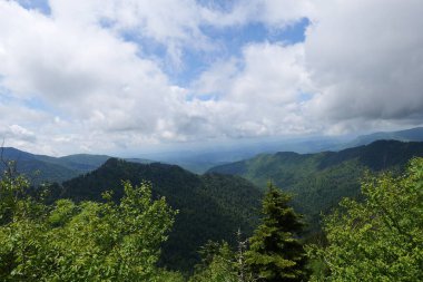 Dumanlı Dağlar 'a ve Tennessee, Kuzey Carolina ve Güney Carolina çevresindeki çeşitli parklara yapılan bir geziden.