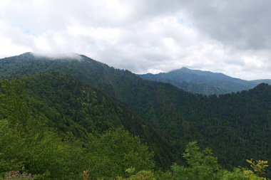 Dumanlı Dağlar 'a ve Tennessee, Kuzey Carolina ve Güney Carolina çevresindeki çeşitli parklara yapılan bir geziden.