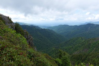 Dumanlı Dağlar 'a ve Tennessee, Kuzey Carolina ve Güney Carolina çevresindeki çeşitli parklara yapılan bir geziden.