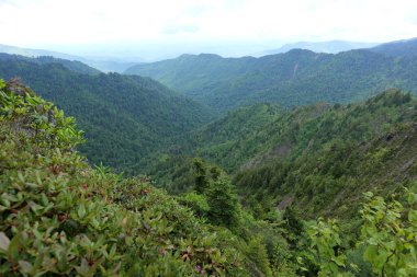 Dumanlı Dağlar 'a ve Tennessee, Kuzey Carolina ve Güney Carolina çevresindeki çeşitli parklara yapılan bir geziden.