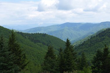 Dumanlı Dağlar 'a ve Tennessee, Kuzey Carolina ve Güney Carolina çevresindeki çeşitli parklara yapılan bir geziden.