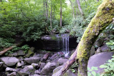 Dumanlı Dağlar 'a ve Tennessee, Kuzey Carolina ve Güney Carolina çevresindeki çeşitli parklara yapılan bir geziden.