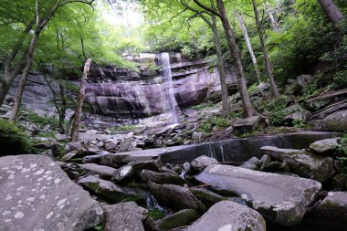 Dumanlı Dağlar 'a ve Tennessee, Kuzey Carolina ve Güney Carolina çevresindeki çeşitli parklara yapılan bir geziden.