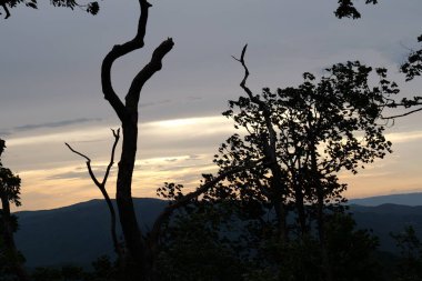 Dumanlı Dağlar 'a ve Tennessee, Kuzey Carolina ve Güney Carolina çevresindeki çeşitli parklara yapılan bir geziden.