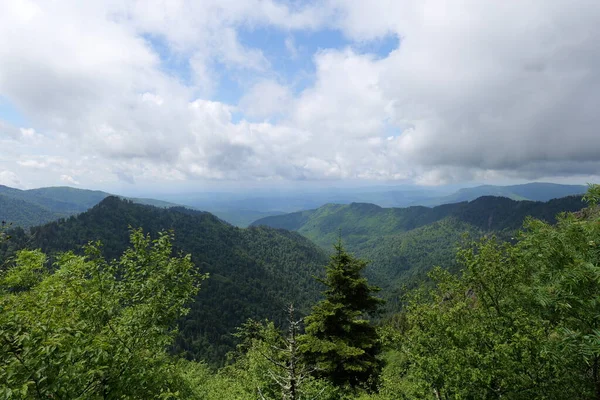 Trip Smoky Mountains Various Parks Tennessee North Carolina South Carolina — Stock Photo, Image