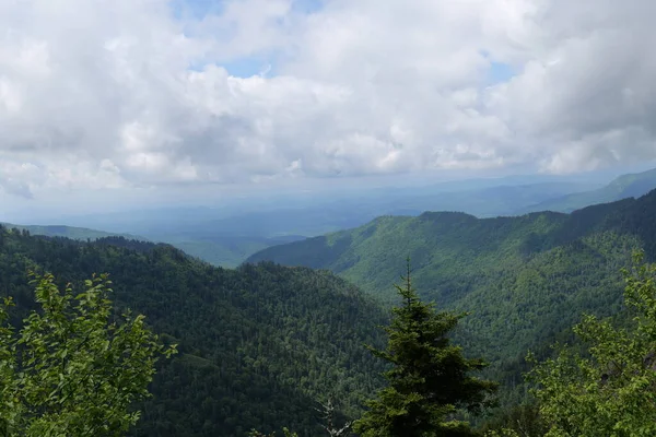 Wycieczki Smoky Mountains Różnych Parków Wokół Tennessee Karolina Północna Karolina — Zdjęcie stockowe