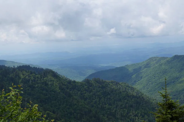 Dumanlı Dağlar Tennessee Kuzey Carolina Güney Carolina Çevresindeki Çeşitli Parklara — Stok fotoğraf