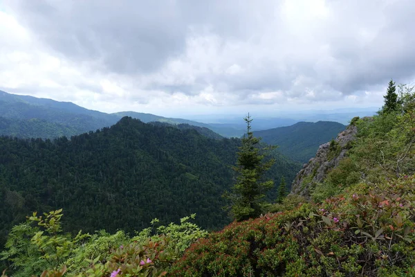 Van Een Reis Naar Smoky Mountains Diverse Parken Rond Tennessee — Stockfoto