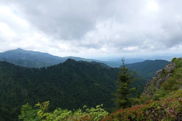 Van Een Reis Naar Smoky Mountains Diverse Parken Rond Tennessee — Stockfoto
