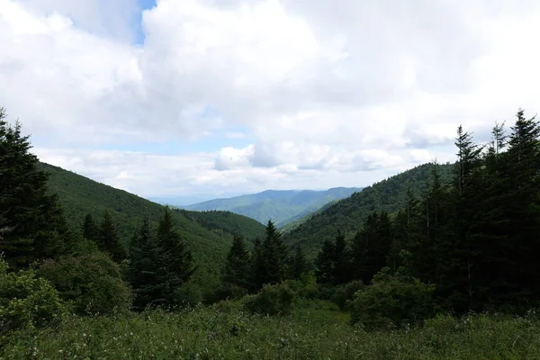Trip Smoky Mountains Various Parks Tennessee North Carolina South Carolina — Stock Photo, Image