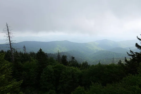 Desde Viaje Las Montañas Humeantes Varios Parques Alrededor Tennessee Carolina — Foto de Stock