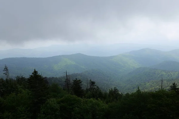 Från Resa Till Smoky Mountains Och Olika Parker Runt Tennessee — Stockfoto