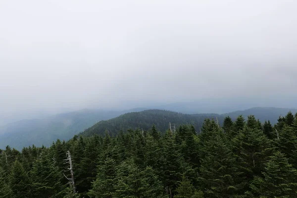 Wycieczki Smoky Mountains Różnych Parków Wokół Tennessee Karolina Północna Karolina — Zdjęcie stockowe