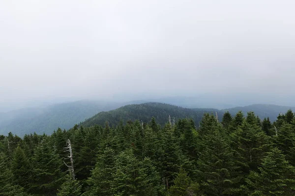 Uma Viagem Montanhas Smoky Vários Parques Redor Tennessee Carolina Norte — Fotografia de Stock