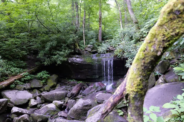 Výletu Smoky Mountains Různých Parků Okolí Tennessee Severní Karolíny Jižní — Stock fotografie