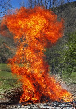 Çalı temizlemek için ormandaki yangını kontrol ederdi.