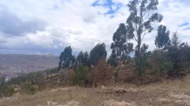 Uzak şehir, uzak dağlar ve Cusco, Peru 'da arka planda bulutlu gökyüzü olan ağaçların zaman akışı.