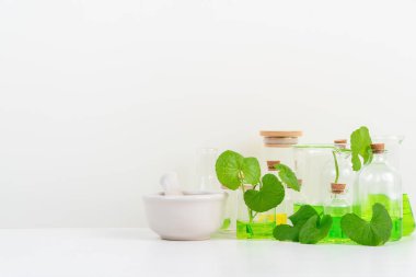 Biyolojik deney için Beyaz Arkaplan Centella asiatikası (gotu) biyolojik test tüplerinde Centella asiatica yaprakları ve yeşil su sunumu. Centella asiatica temelli kozmetik ürünleri .