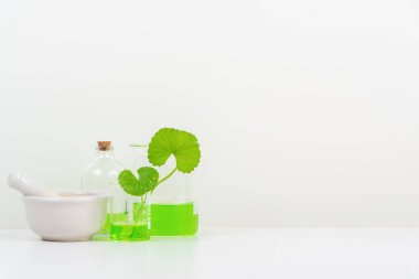 Biyolojik deney için Beyaz Arkaplan Centella asiatikası (gotu) biyolojik test tüplerinde Centella asiatica yaprakları ve yeşil su sunumu. Centella asiatica temelli kozmetik ürünleri .