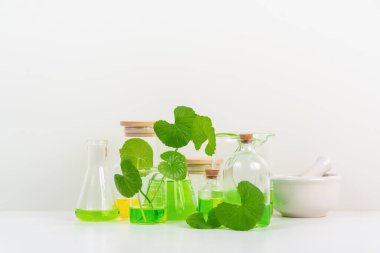 Biyolojik deney için Beyaz Arkaplan Centella asiatikası (gotu) biyolojik test tüplerinde Centella asiatica yaprakları ve yeşil su sunumu. Centella asiatica temelli kozmetik ürünleri .