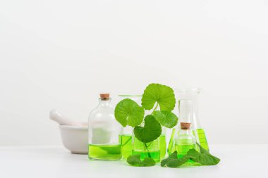 Biyolojik deney için Beyaz Arkaplan Centella asiatikası (gotu) biyolojik test tüplerinde Centella asiatica yaprakları ve yeşil su sunumu. Centella asiatica temelli kozmetik ürünleri .