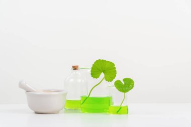 Biyolojik deney için Beyaz Arkaplan Centella asiatikası (gotu) biyolojik test tüplerinde Centella asiatica yaprakları ve yeşil su sunumu. Centella asiatica temelli kozmetik ürünleri .